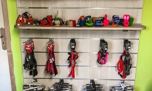 Vente accessoires chat à Loches