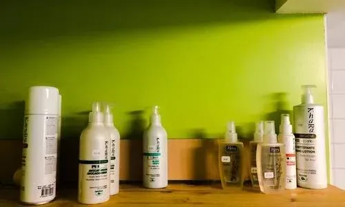 Vente accessoires chien à Loches